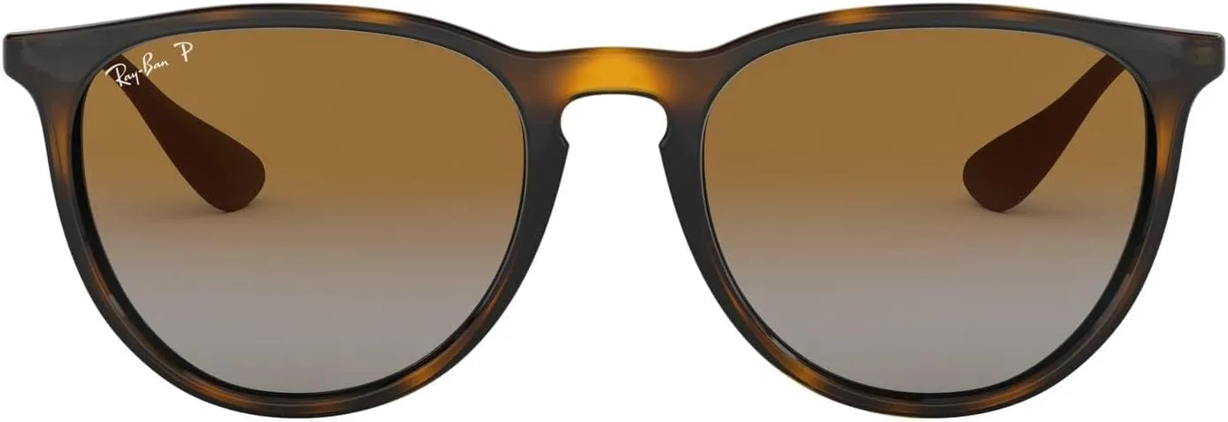 Ray-Ban RB4171F Erika Low Bridge Fit Round Sunglasses